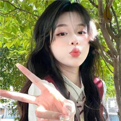 蔷薇处处开